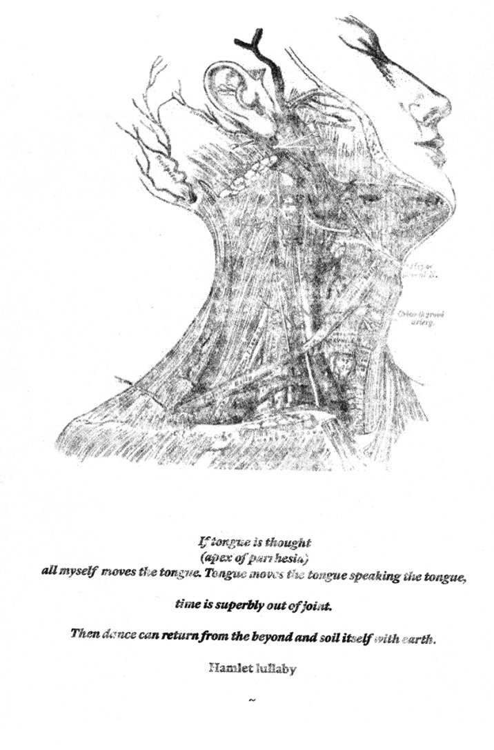 EMILIANO AVERSA